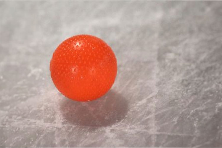 Bandyboll på isen